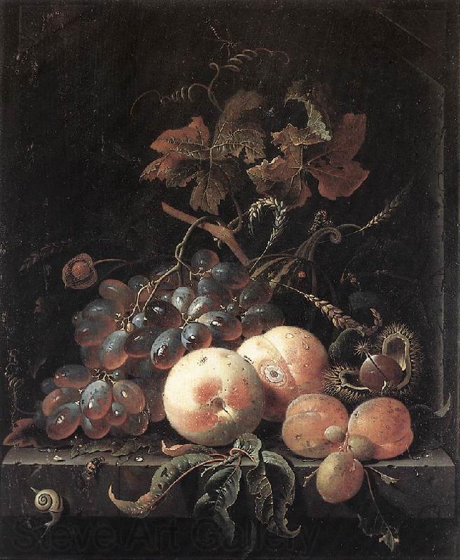 MIGNON, Abraham Still-Life with Fruits sg Germany oil painting art